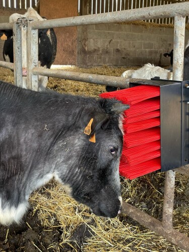 BROSSE ANIZEN SIMPLE FIXATION MURALE Petits mat&eacute;riels et accessoires