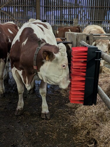 BROSSE ANIZEN DOUBLE FIXATION MURALE Petits mat&eacute;riels et accessoires