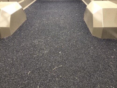 NEPTUNE 6-20 Cosnet B&eacute;taill&egrave;re